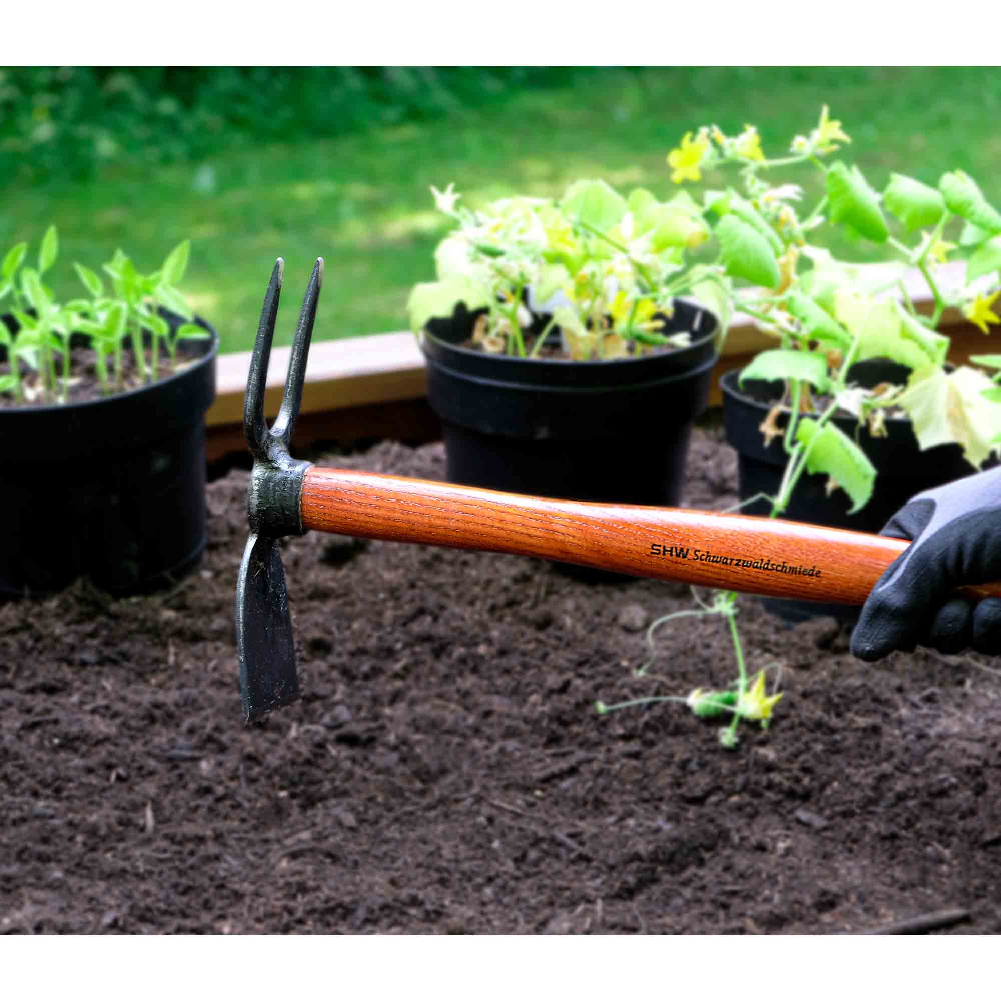 REX Häckchen mit Breitblatt 2 Zinken