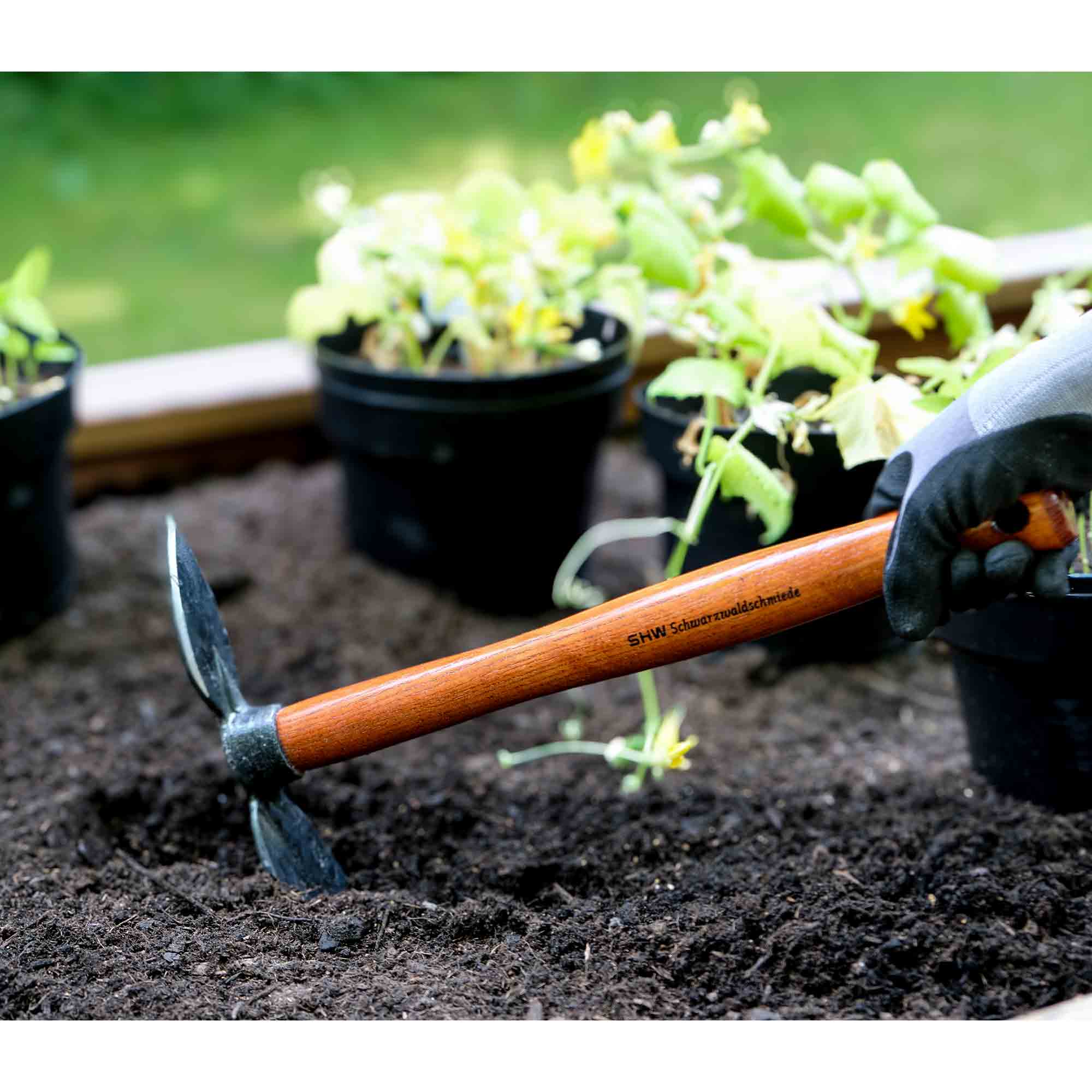 REX Häckchen mit Breit- und Herzblatt