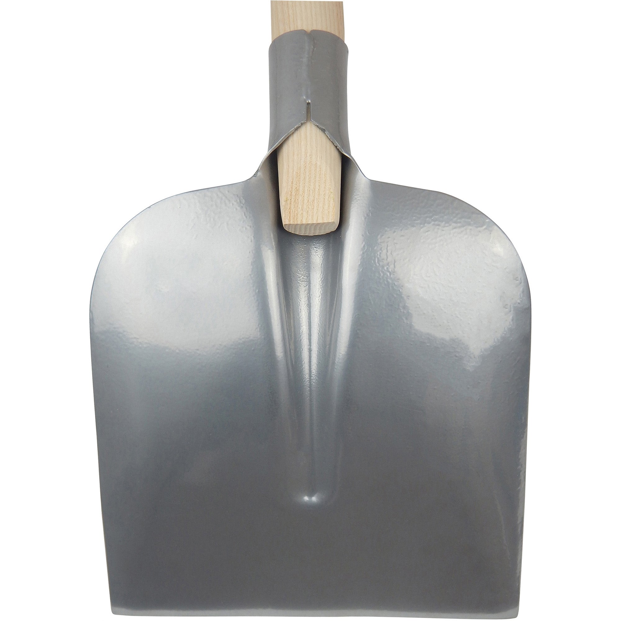 Holsteiner Schaufel, Gr. 2 silber, mit Eschenstiel 135 cm