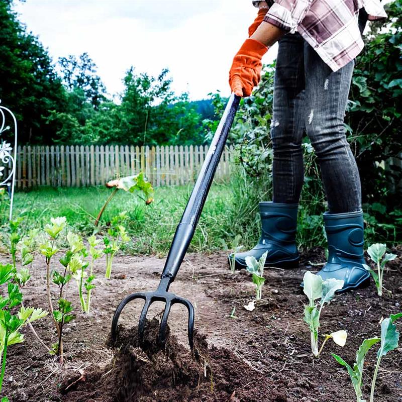 Black Forest Mulcher, 4 Zinken